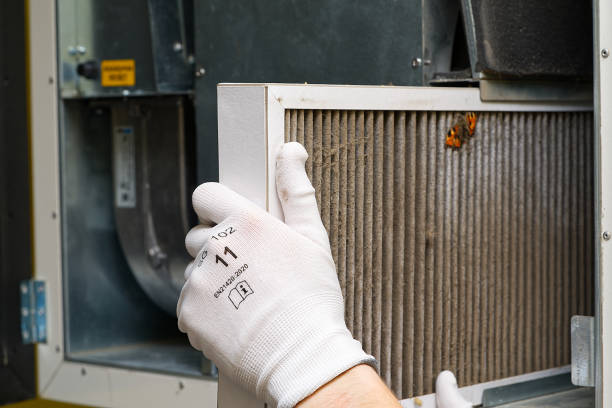 Best Commercial Air Duct Cleaning  in Nokomis, FL